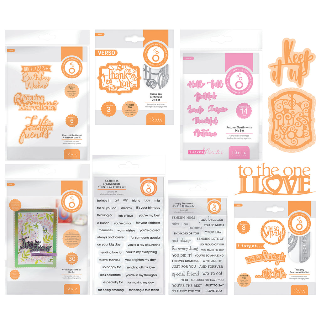 Mega Sentiments Die and Stamp Set Bundle