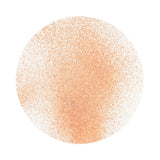 Load image into Gallery viewer, Nuvo bundle Nuvo Shimmer Powder &amp; Sparkle Spray - Euphoria Collection